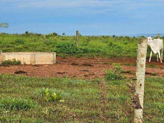 Fazenda venda em Região Geográfica Imediata de Jaciara, Dom Aquino