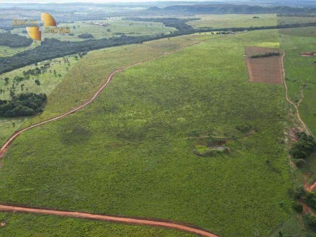 Fazenda venda em Região Geográfica Imediata de Jaciara, Dom Aquino