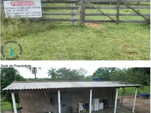 Fazenda venda em Região Geográfica Imediata de Jaciara, Dom Aquino