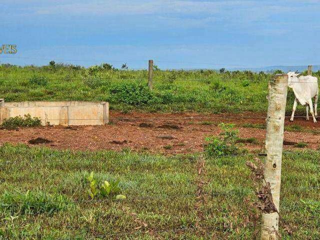 Fazenda venda em Dom Aquino, Região Geográfica Intermediária de Rondonópolis