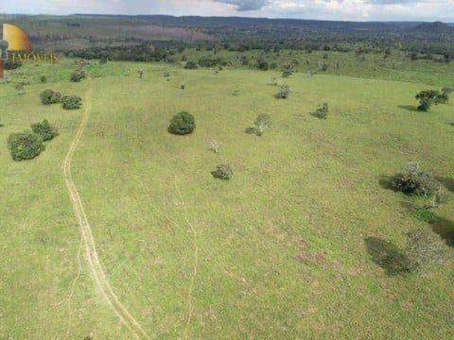 Fazenda venda em Dom Aquino, Região Geográfica Intermediária de Rondonópolis
