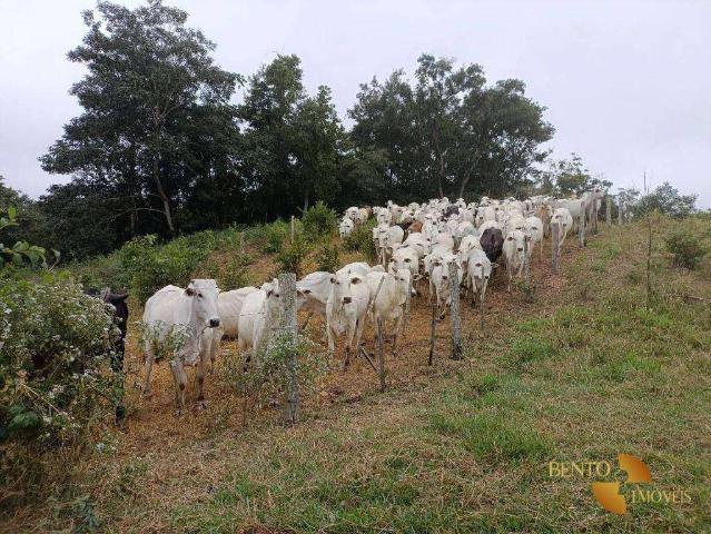 Fazenda venda em Dom Aquino, Região Geográfica Intermediária de Rondonópolis