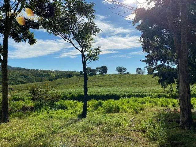 Fazenda venda em Região Geográfica Imediata de Jaciara, Dom Aquino