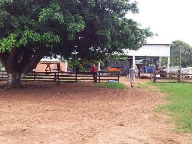 Fazenda venda em Região Geográfica Imediata de Jaciara, Dom Aquino