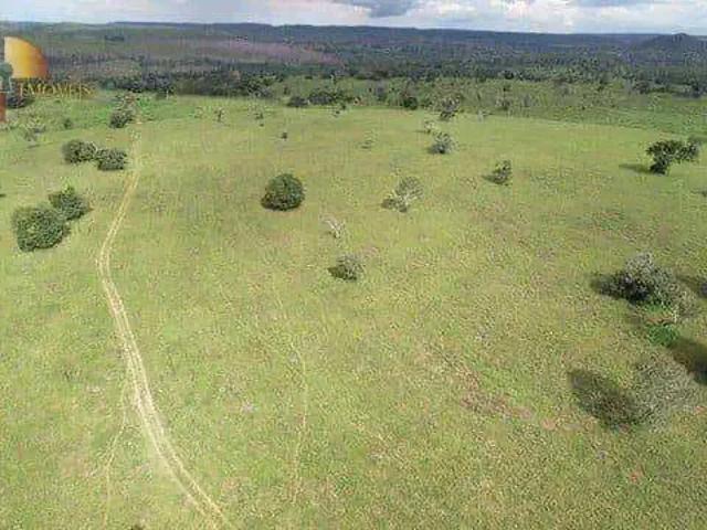Fazenda venda em Região Geográfica Imediata de Jaciara, Dom Aquino
