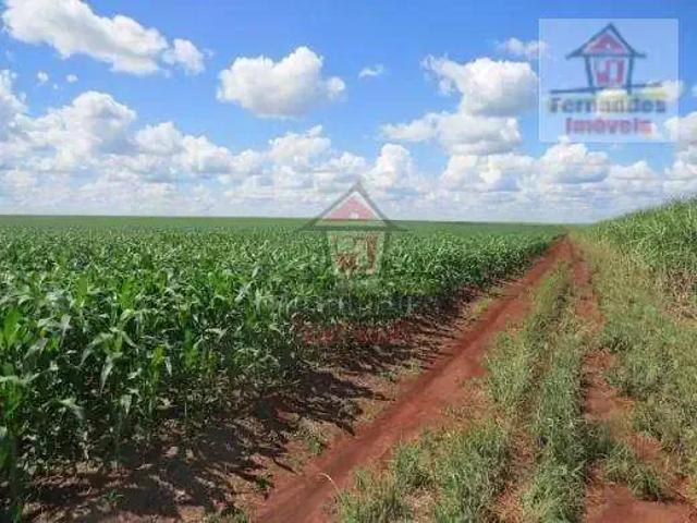 Fazenda venda em Região Geográfica Imediata de Dourados, Dourados