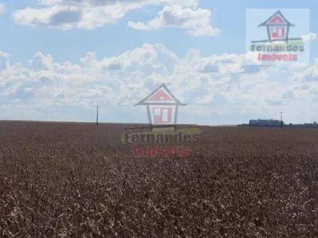Fazenda venda em Região Geográfica Imediata de Dourados, Dourados