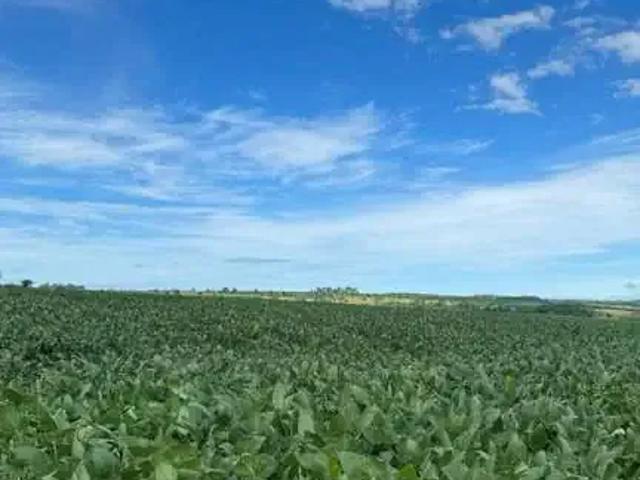 Fazenda venda em Região Geográfica Imediata de Jataí-Mineiros, Doverlândia