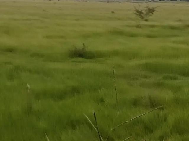 Fazenda venda em Região Imediata de Dracena, Dracena