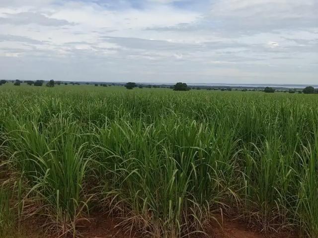 Fazenda venda em Região Imediata de Dracena, Dracena