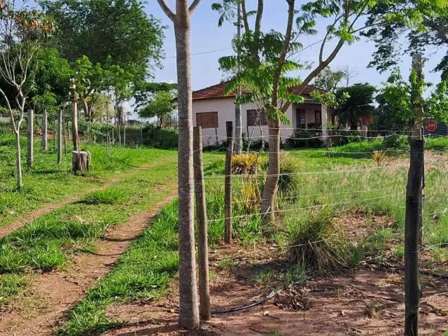 Fazenda venda em Região Imediata de Bauru, Duartina