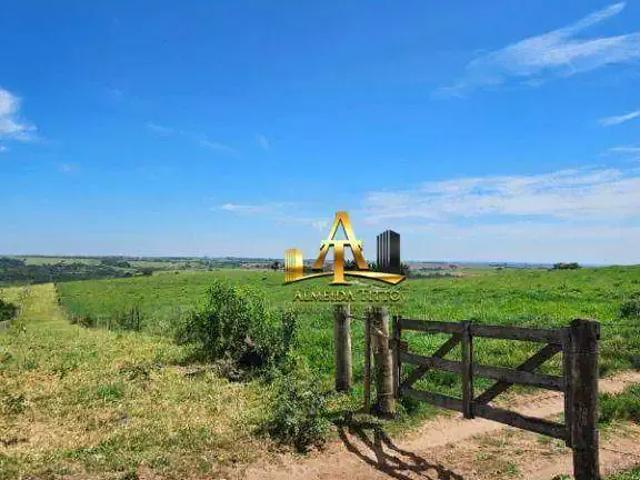 Fazenda venda em Região Imediata de Bauru, Duartina