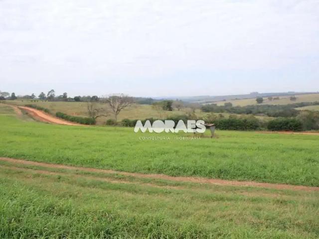 Fazenda venda em Região Imediata de Bauru, Duartina