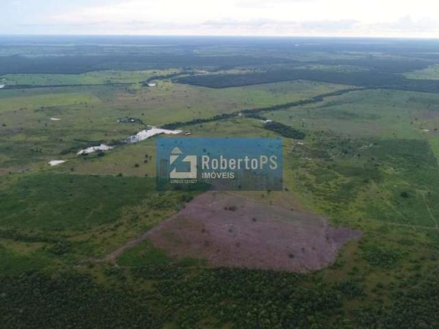 Fazenda venda em Região Geográfica Imediata do Distrito Federal, Região Integrada de Desenvolvimento do Distrito Federal e Entorno