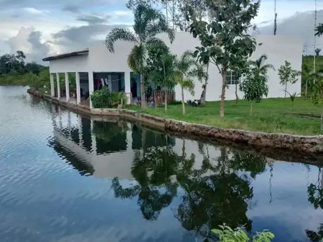 Fazenda venda em Região Geográfica Imediata de Paraíso do Tocantins, Lagoa da Confusão