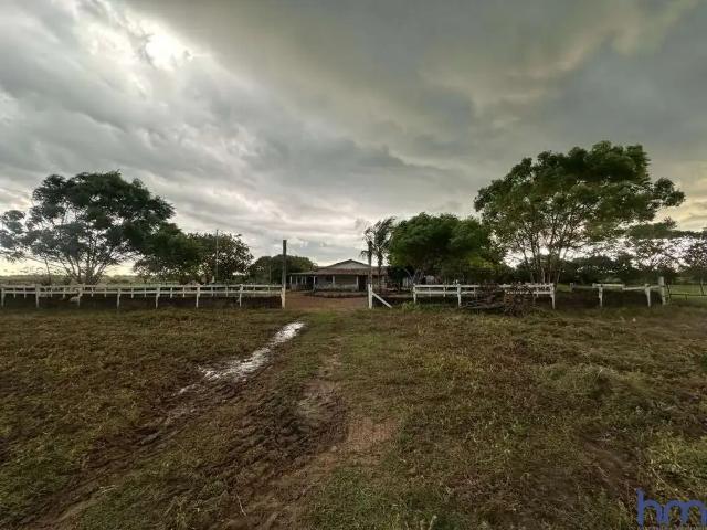 Fazenda venda em Região Geográfica Imediata de Gurupi, Dueré