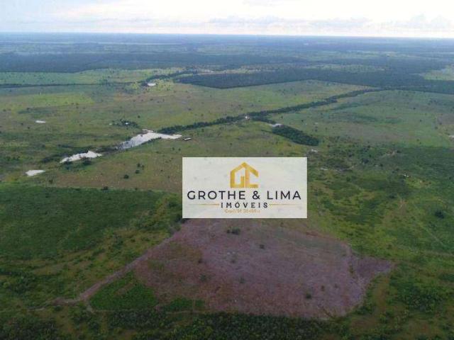 Fazenda venda em Dueré, Região Geográfica Intermediária de Gurupi