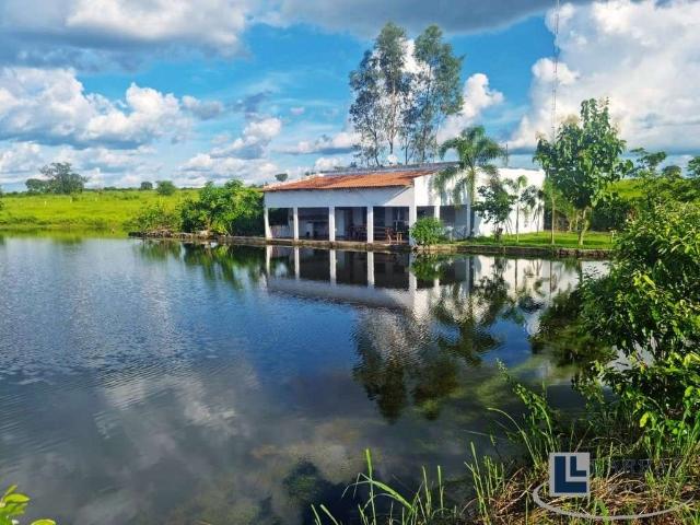 Fazenda venda em Região Geográfica Imediata de Gurupi, Dueré
