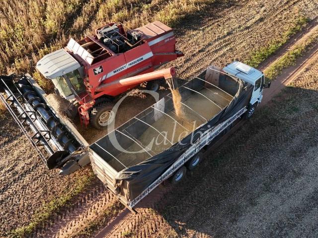 Fazenda venda em Echaporã, Região Geográfica Intermediária de Marília