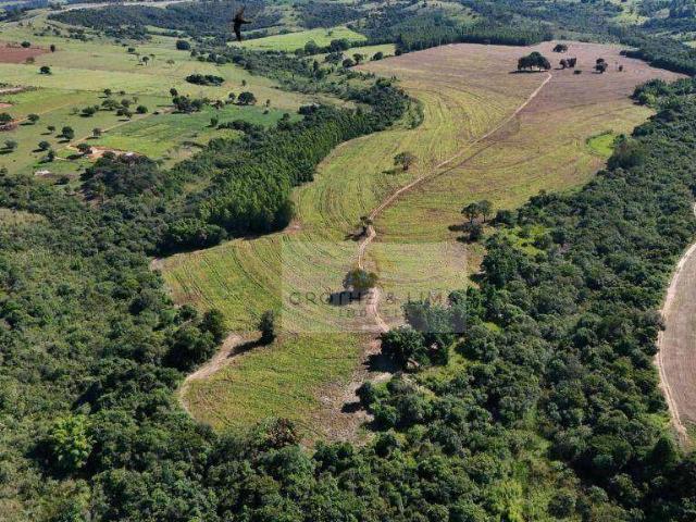 Fazenda venda em Echaporã
