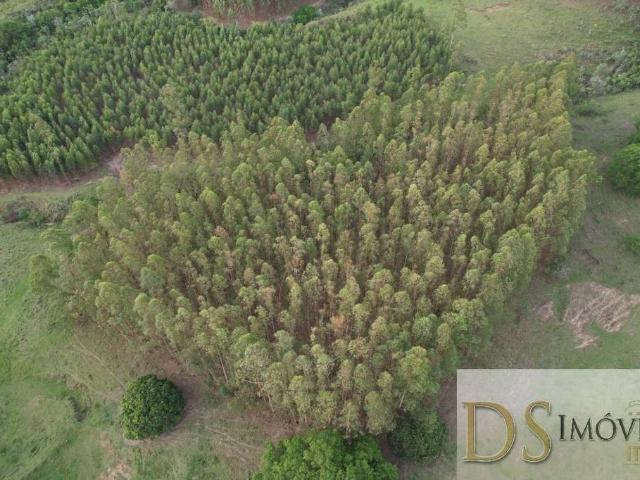Fazenda venda em Região Imediata de Sorocaba, Região Metropolitana de Sorocaba