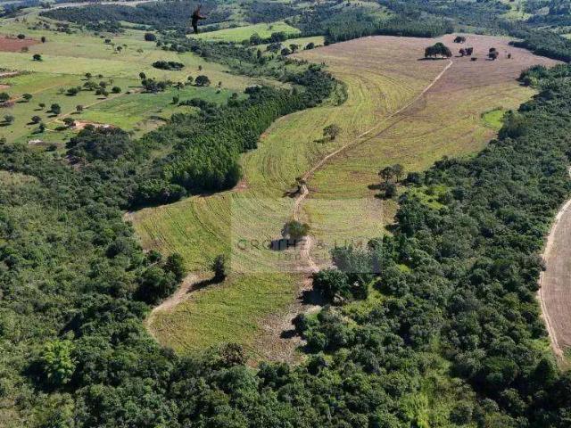 Fazenda venda em Região Imediata de Marília, Echaporã