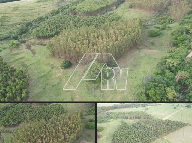 Fazenda venda em Echaporã