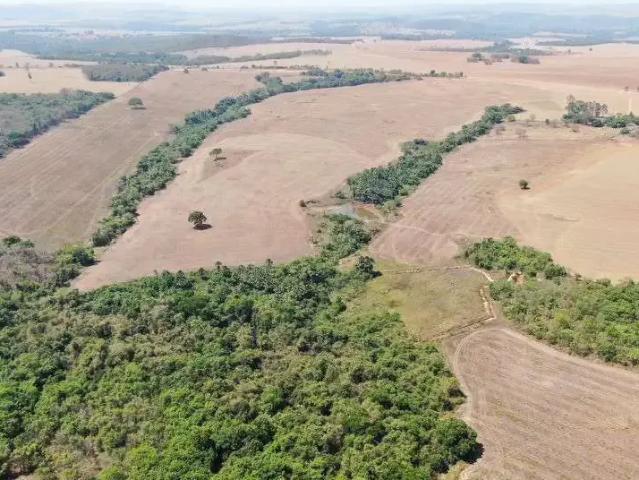 Fazenda venda em Região Geográfica Imediata de Araguaína, Campos Lindos