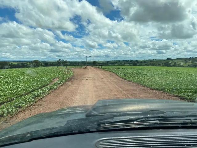 Fazenda venda em Região Geográfica Imediata de Piracanjuba, Edealina