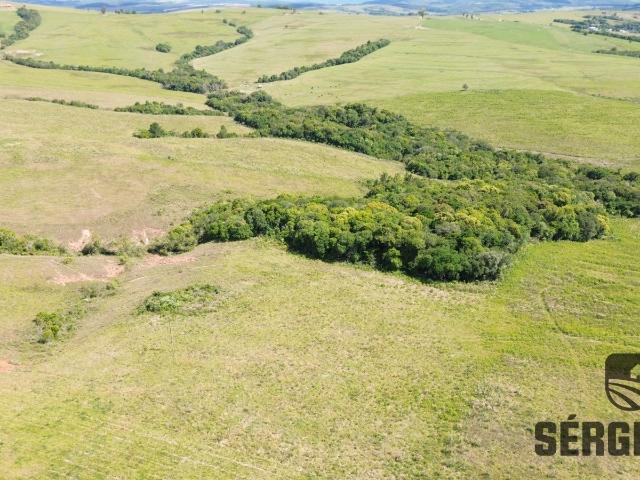 Fazenda venda em Região Geográfica Imediata de Porto Alegre, Região Metropolitana de Porto Alegre