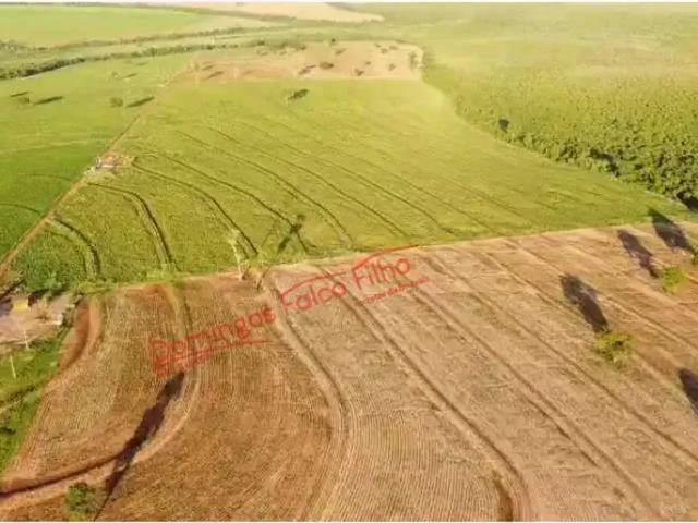 Fazenda venda em Região Geográfica Imediata de Naviraí - Mundo Novo, Eldorado