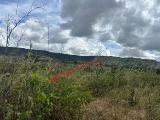 Fazenda venda em Eldorado, Região Geográfica Intermediária de Sorocaba