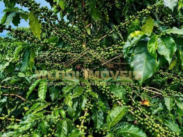 Sítio e chácara venda em Região Geográfica Imediata de Varginha, Elói Mendes