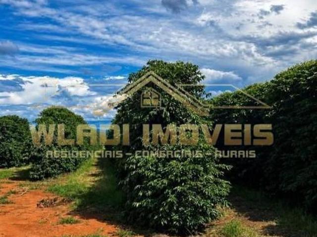 Sítio e chácara venda em Elói Mendes, Região Geográfica Intermediária de Varginha