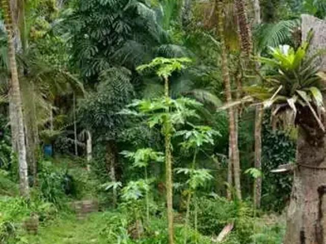 Fazenda venda em Região Imediata de São Paulo, Região Metropolitana de São Paulo