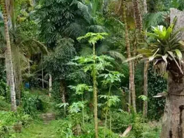 Fazenda venda em Região Imediata de São Paulo, Região Metropolitana de São Paulo