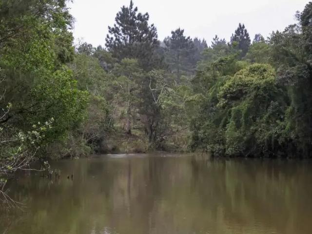 Fazenda venda em Região Imediata de São Paulo, Região Metropolitana de São Paulo