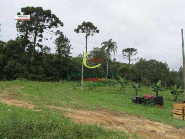 Fazenda venda em Embu-Guaçu, Embu-Guaçu