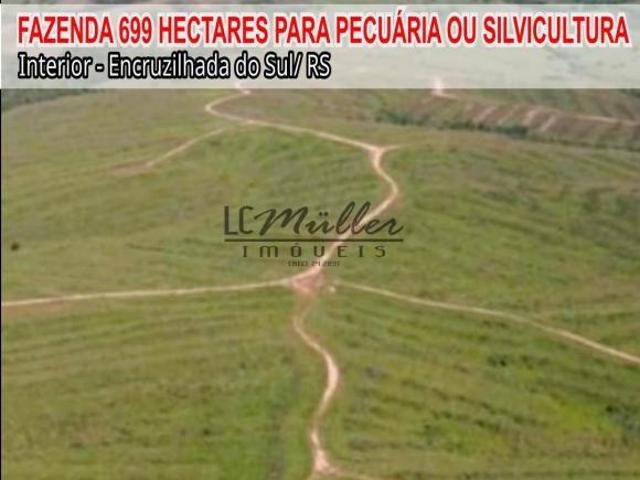 Sítio e chácara venda em Região Geográfica Imediata de Santa Cruz do Sul, Encruzilhada do Sul
