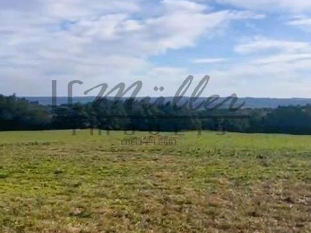 Sítio e chácara venda em Região Geográfica Imediata de Santa Cruz do Sul, Encruzilhada do Sul
