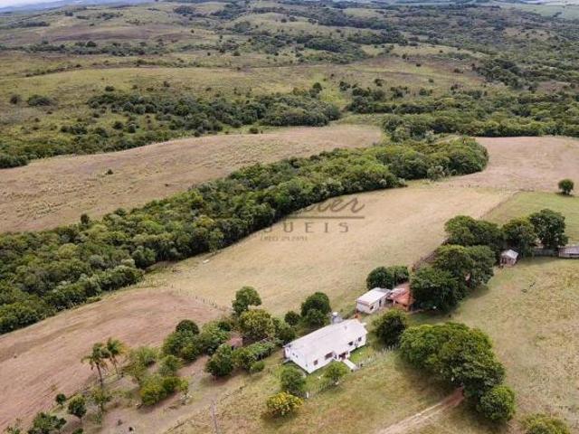 Sítio e chácara venda em Região Geográfica Imediata de Santa Cruz do Sul, Encruzilhada do Sul