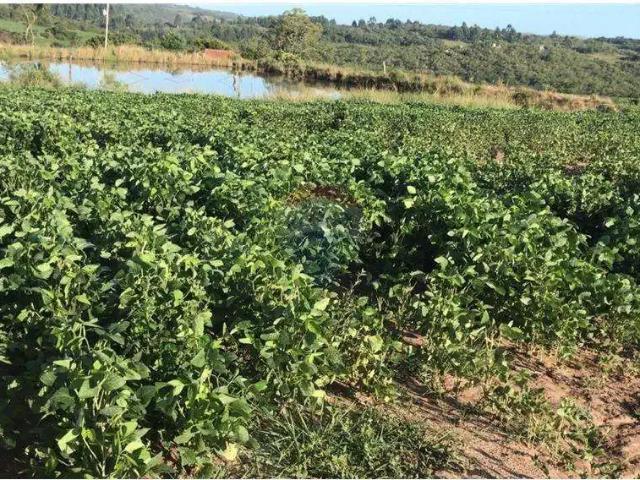 Fazenda venda em Região Geográfica Imediata de Santa Cruz do Sul, Encruzilhada do Sul