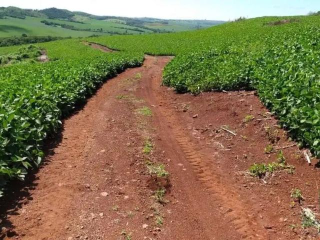 Fazenda venda em Região Geográfica Imediata de Campo Mourão, Engenheiro Beltrão