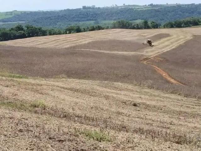 Fazenda venda em Região Geográfica Imediata de Campo Mourão, Engenheiro Beltrão