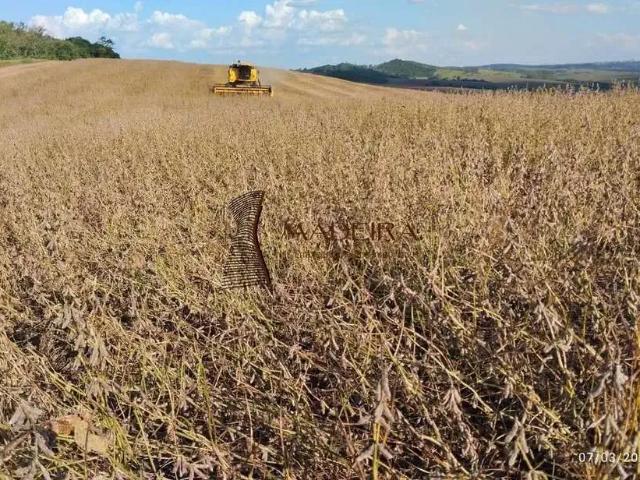 Fazenda venda em Região Geográfica Imediata de Campo Mourão, Engenheiro Beltrão