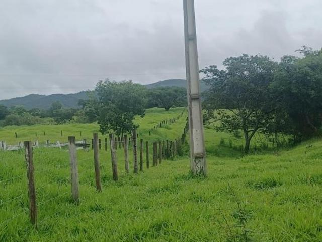 Sítio e chácara venda em Região Geográfica Imediata de Belo Horizonte, Região Metropolitana de Belo Horizonte