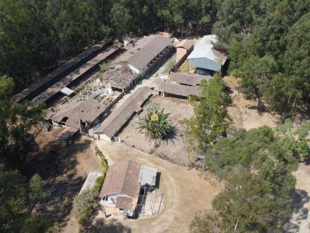 Fazenda venda em Esmeraldas