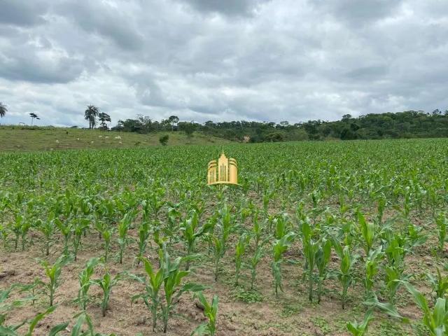 Fazenda venda em Centro, Esmeraldas