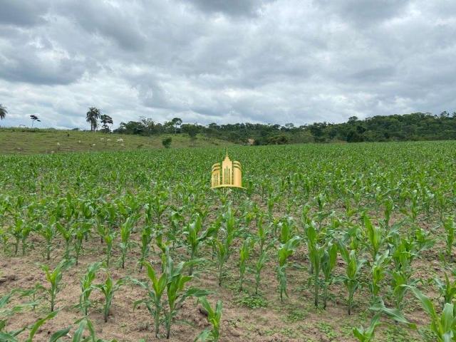 Fazenda venda em Região Geográfica Imediata de Belo Horizonte, Região Metropolitana de Belo Horizonte