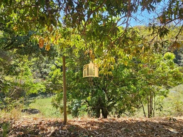 Fazenda venda em Centro, Esmeraldas